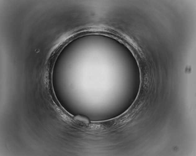 X0000101191456200806271304