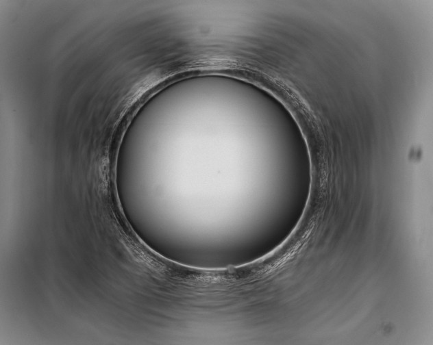 X0000101191457200806271304