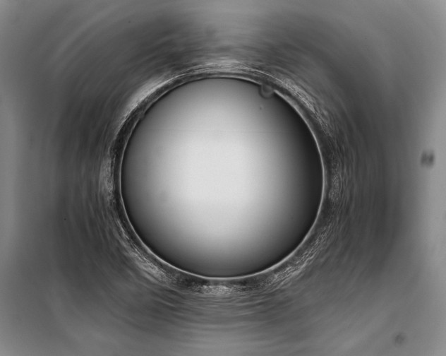 X0000101191458200806271304