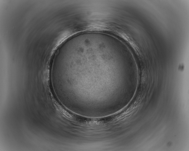 X0000101191459200806271304