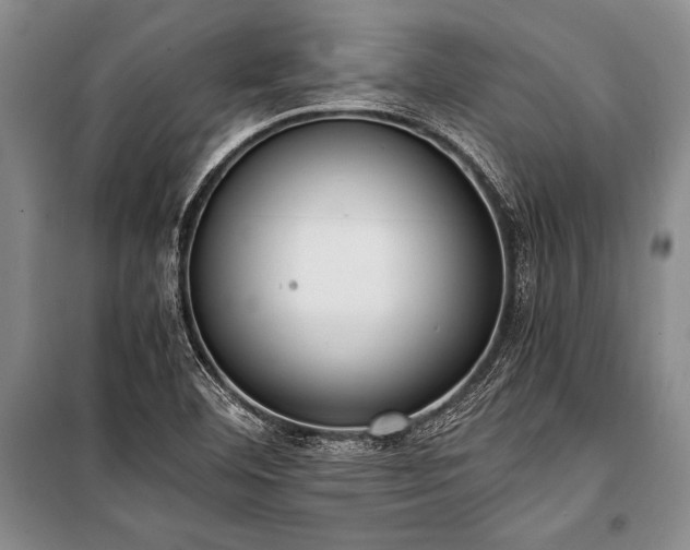 X0000101191460200806271304