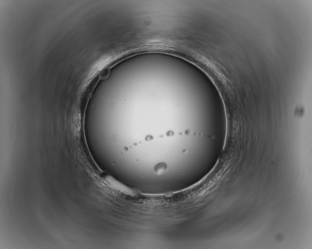 X0000101191461200806271304