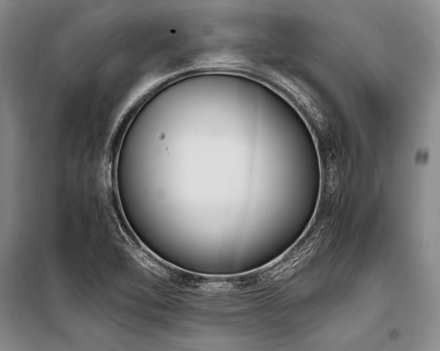 X0000101191462200806271304