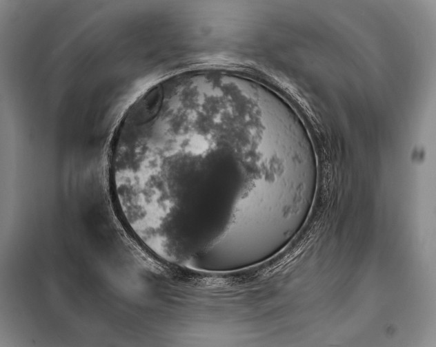 X0000101191463200806271304
