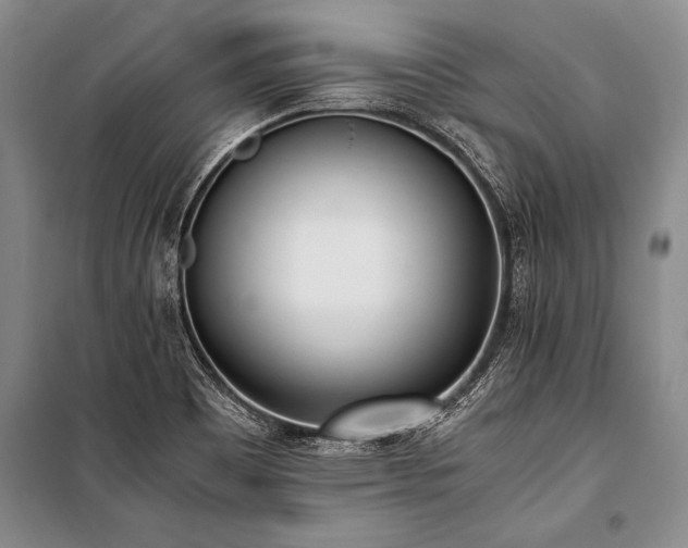 X0000101191465200806271304