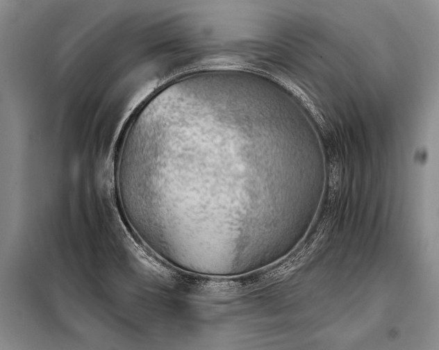 X0000101191466200806271304