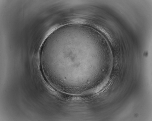 X0000101191467200806271303
