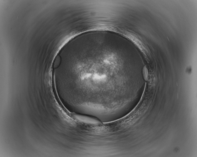 X0000101191468200806271303