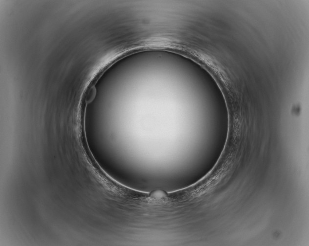 X0000101191469200806271303