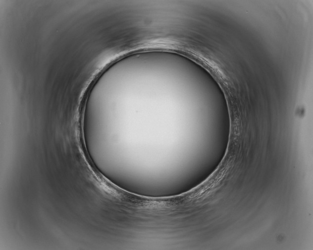 X0000101191470200806271303