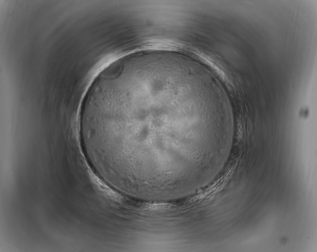 X0000101191471200806271303