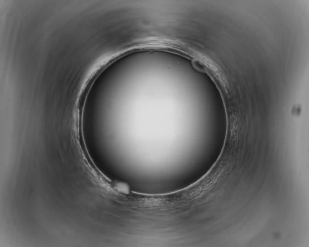 X0000101191472200806271303