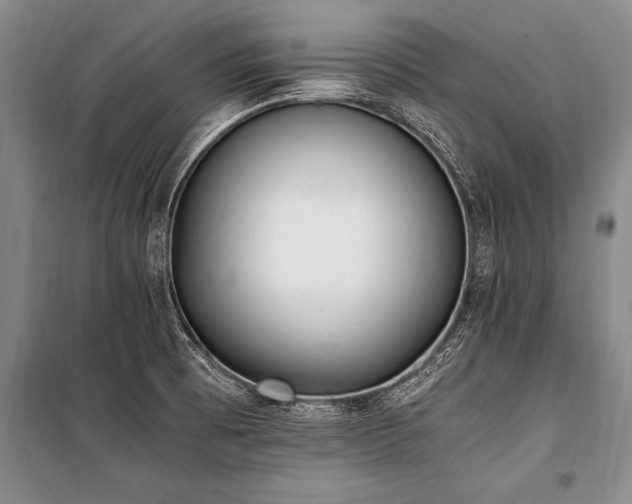 X0000101191473200806271303