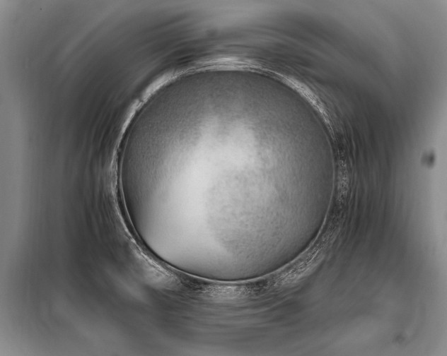 X0000101191474200806271303
