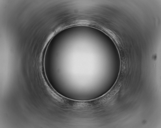 X0000101191475200806271303