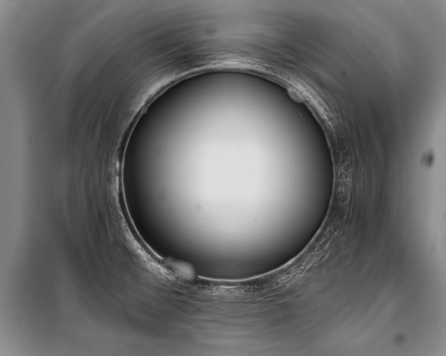X0000101191476200806271303
