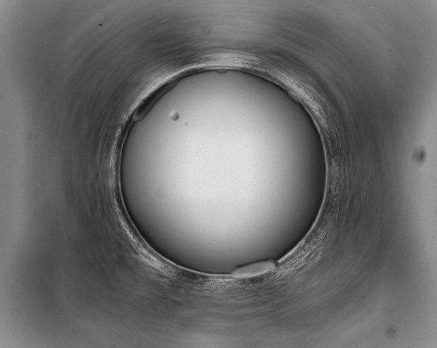 X0000101191477200806271303