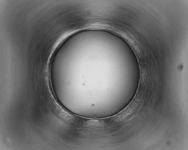 X0000101191478200806271303