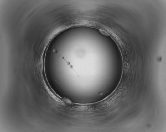 X0000101191479200806271303