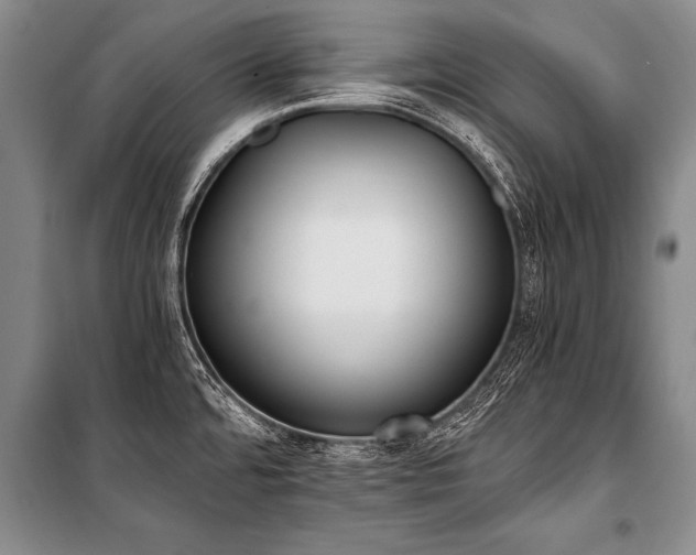 X0000101191480200806271303