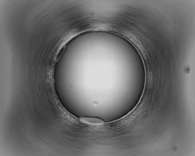 X0000101191481200806271303