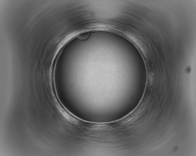 X0000101191482200806271303