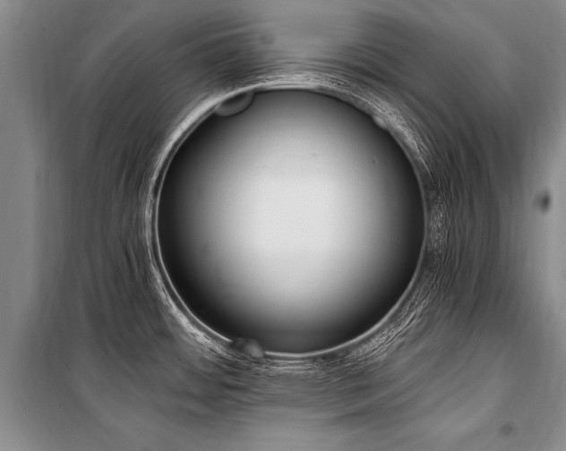 X0000101191484200806271303