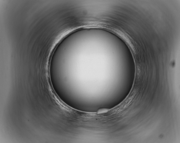 X0000101191485200806271303
