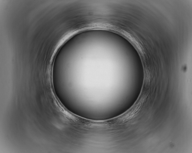 X0000101191486200806271303