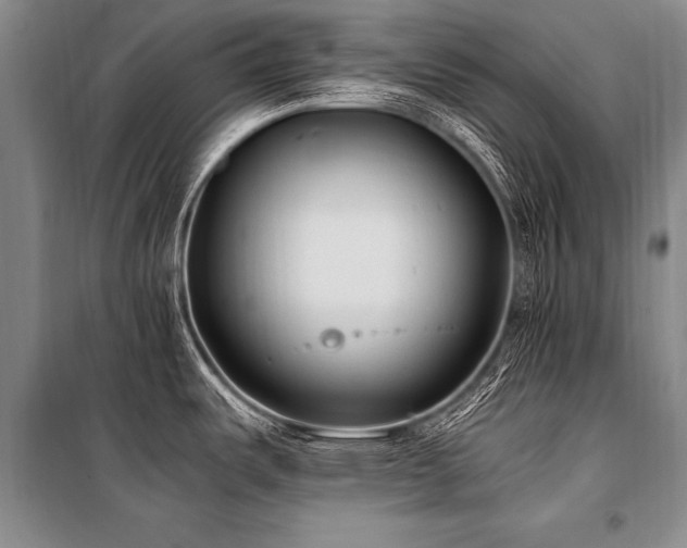 X0000101191487200806271303