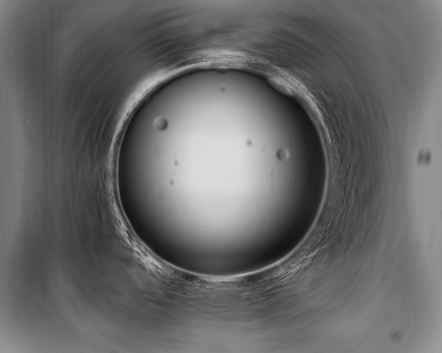 X0000101191488200806271303