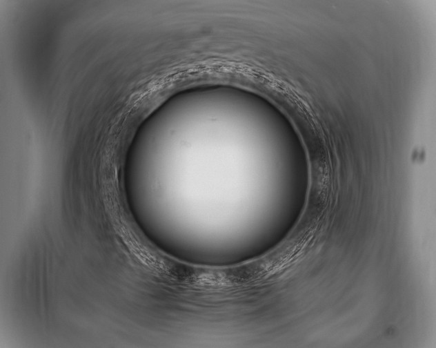 X0000101191489200806271302