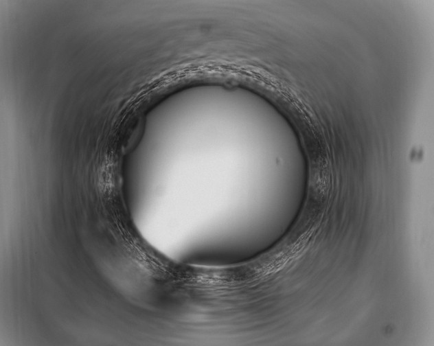 X0000101191490200806271302