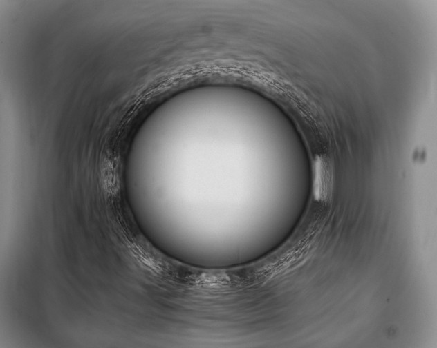 X0000101191491200806271302