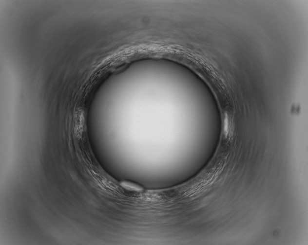 X0000101191492200806271303