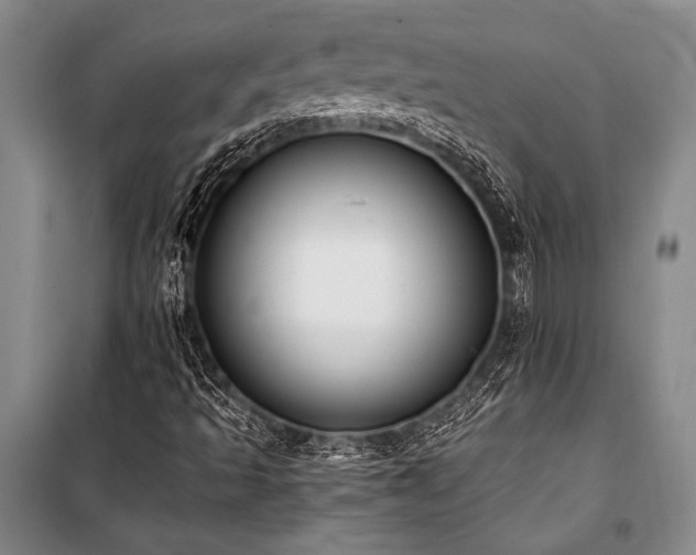 X0000101191493200806271303