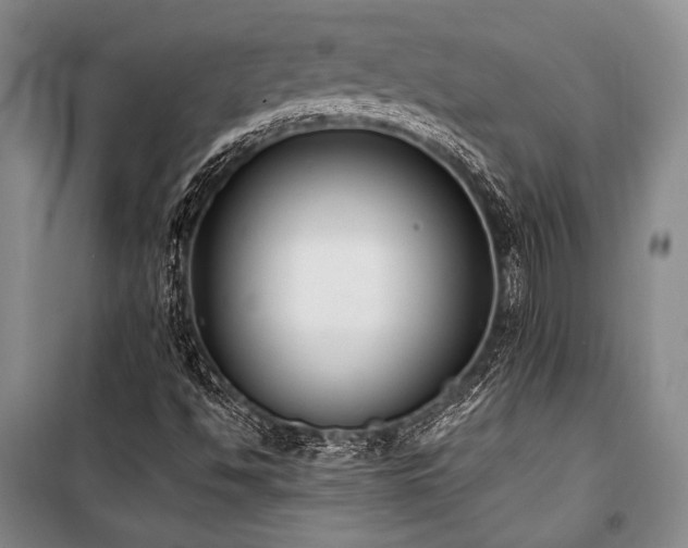 X0000101191494200806271303