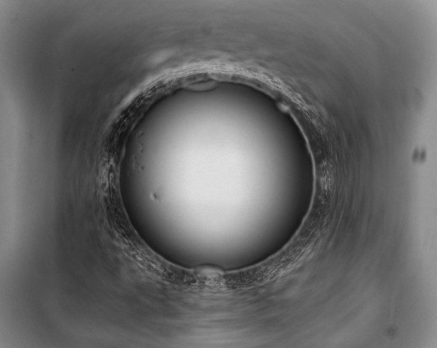 X0000101191495200806271303