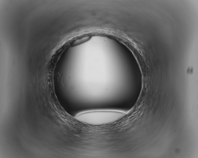 X0000101191496200806271303