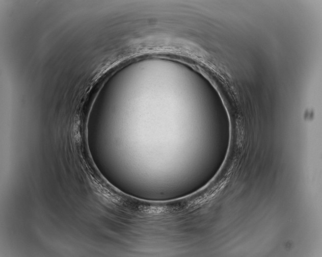 X0000101191497200806271303