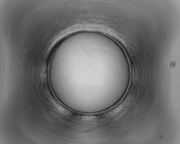 X0000101191498200806271303