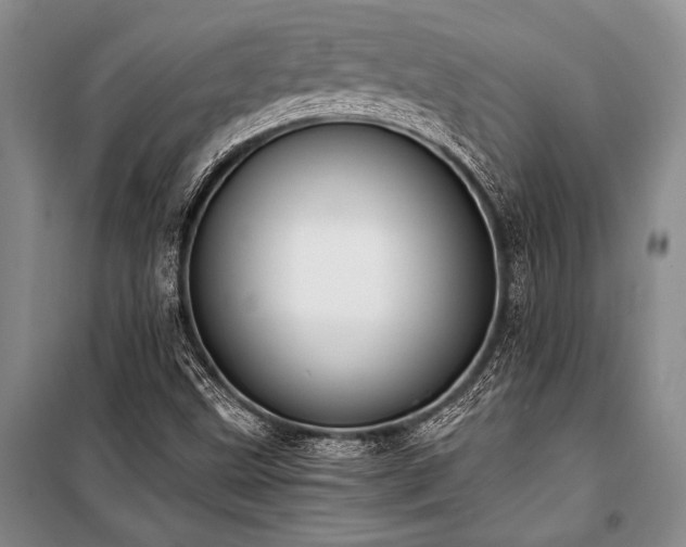 X0000101191499200806271303