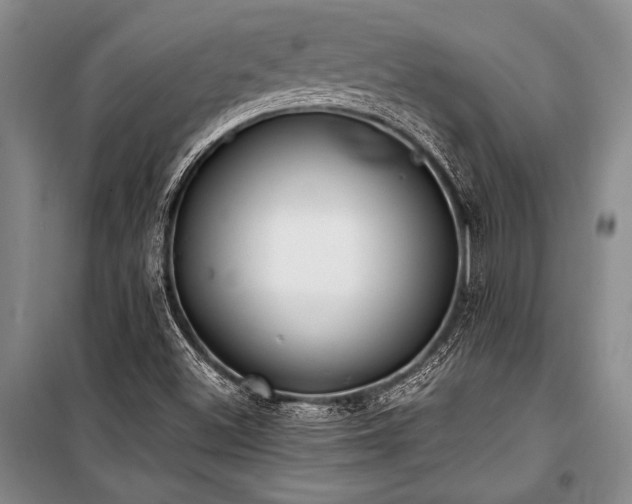 X0000101191500200806271303