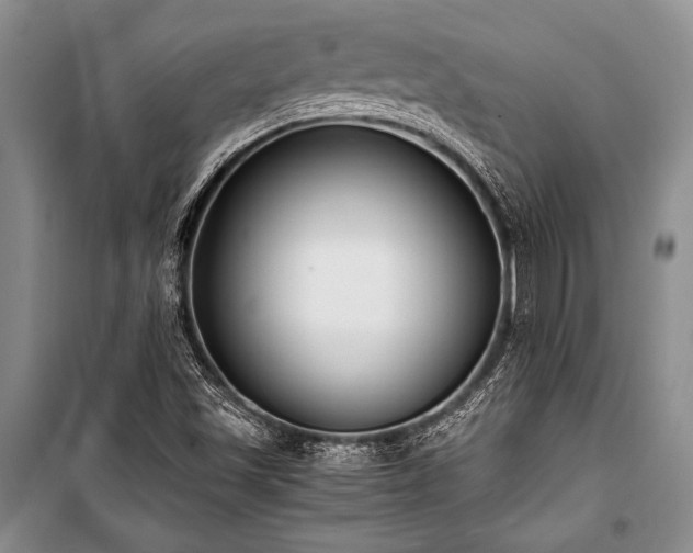 X0000101191501200806271303