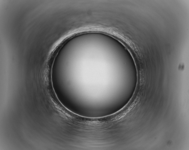 X0000101191502200806271303