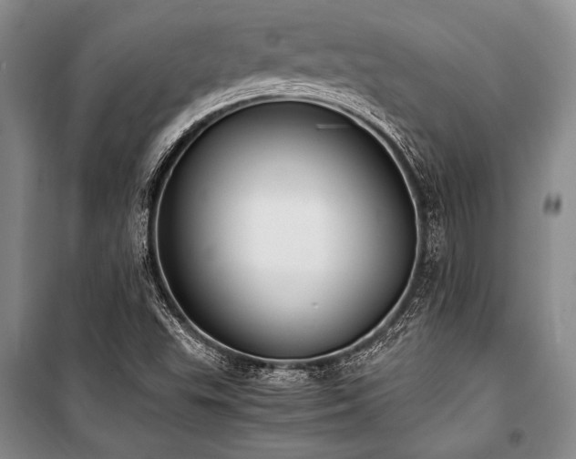 X0000101191503200806271303