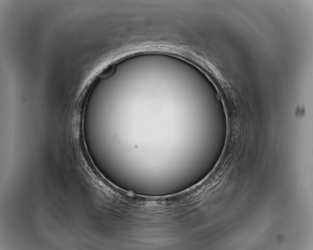 X0000101191504200806271303