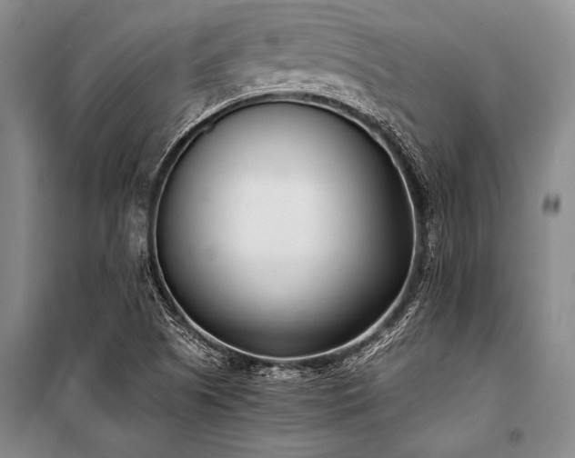 X0000101191505200806271303