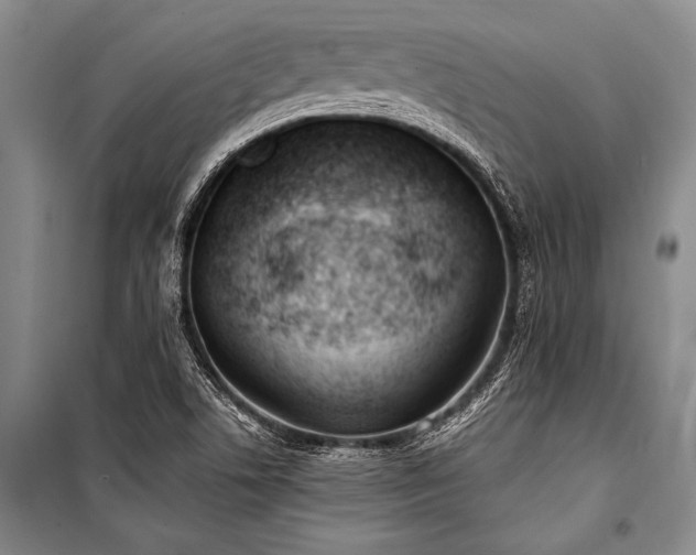 X0000101191506200806271303