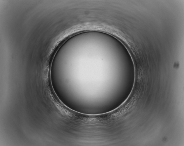 X0000101191507200806271303